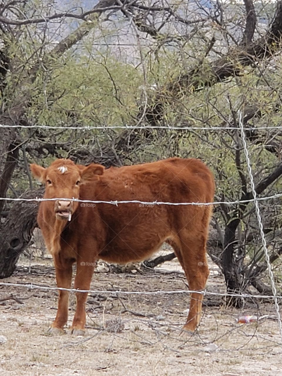 wholly cow does he  drool or what. looks young