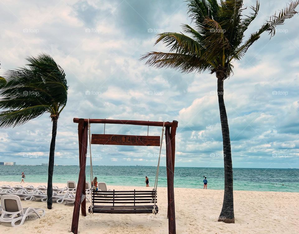A vintage style swing between the coconut trees in Caribbean Islands