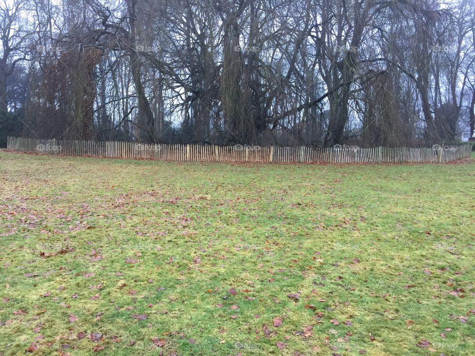 Den Brandt in Antwerp