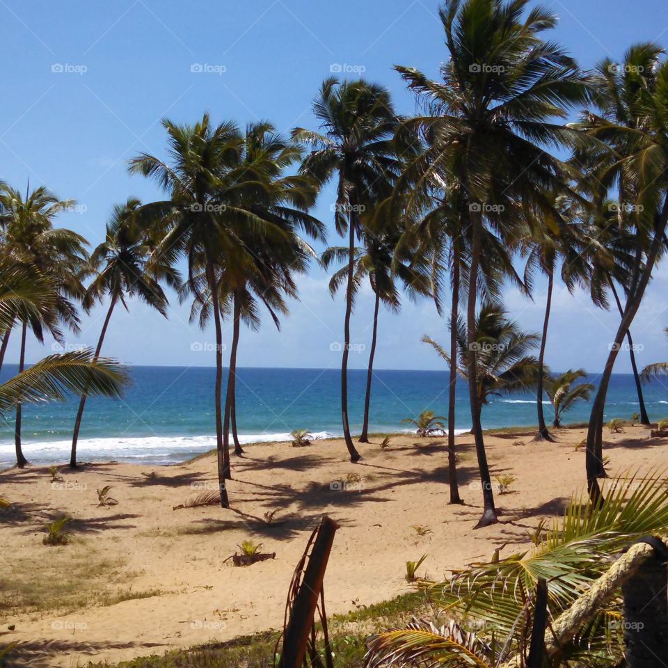 Salvador Bahia