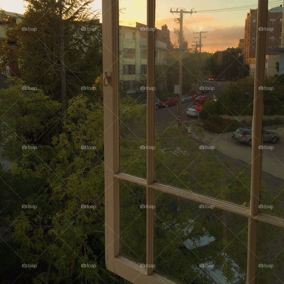 Window view in Oakland