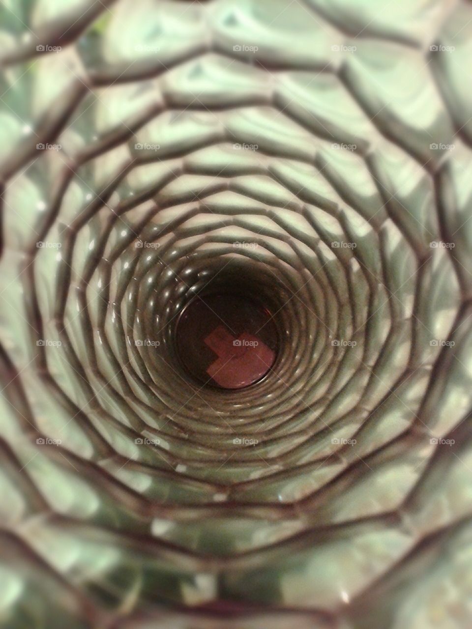 Inside the vase.. Just looking in from above.