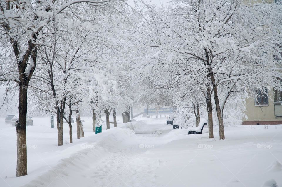 Walking track covered with snow 