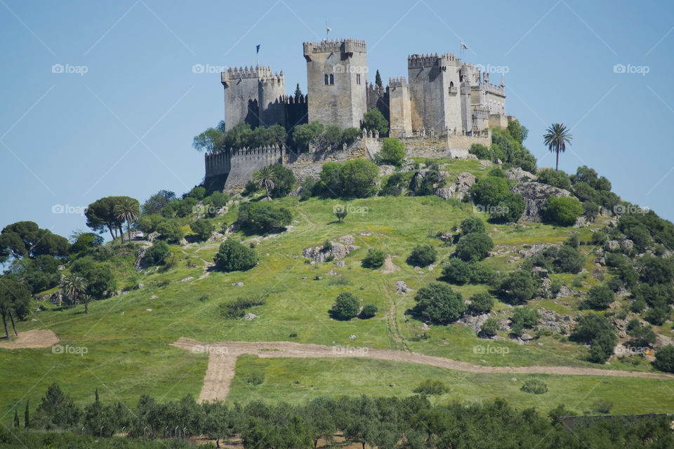 Medieval castle in Almodovar ( Andalusia,Spain)