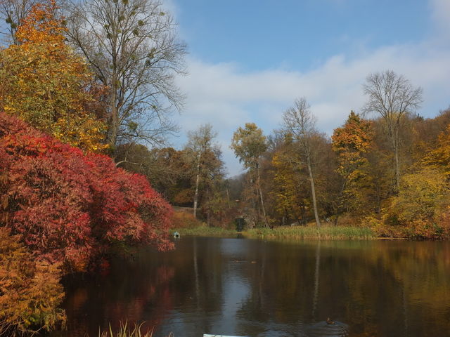 Autumn time. Beautiful time. Colours of autumn. Autumn landscape