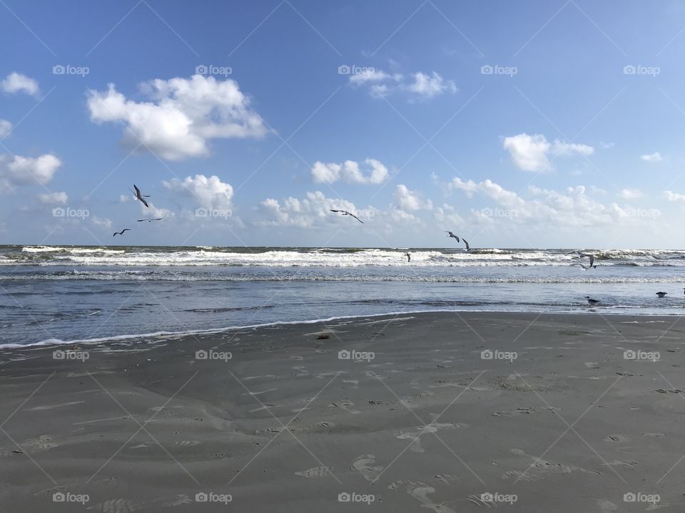 Galveston
