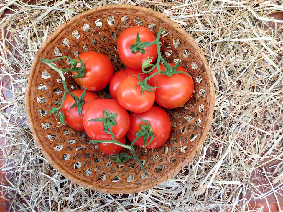 tomatoes