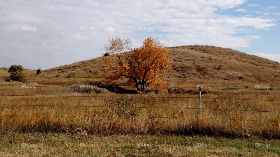 Autumn on the prairie