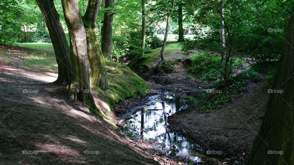 In a park in Antwerp