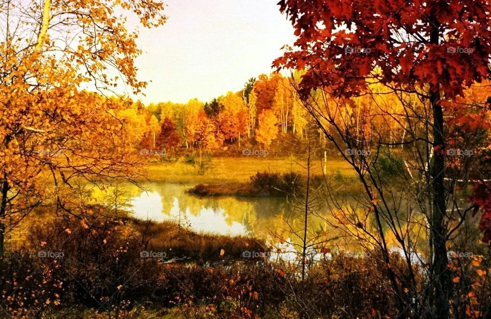 Fall on the Marsh