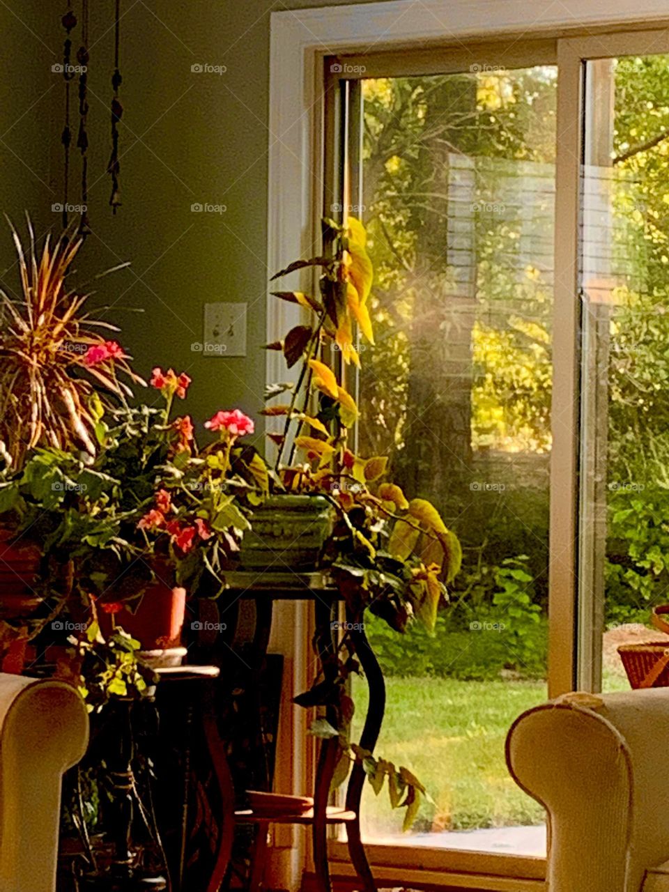 Sunshine garden room 