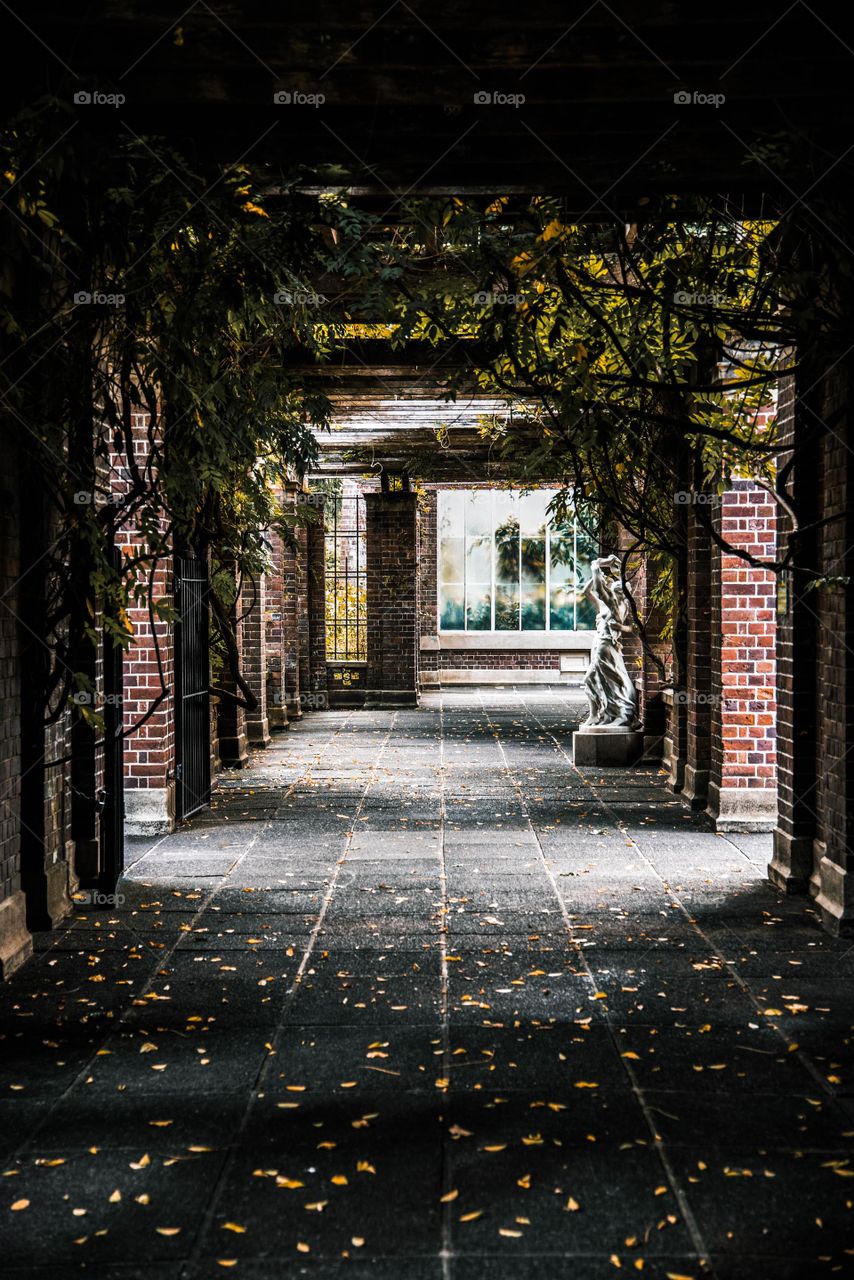 Corridor surrounded with nature