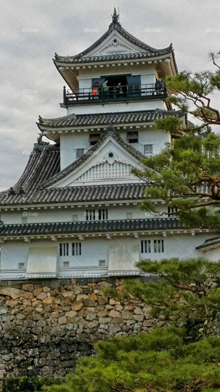 Kochi Castle, Kochi,Japan...