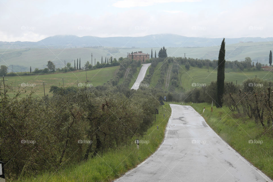 A Tuscan road after rain, Italy