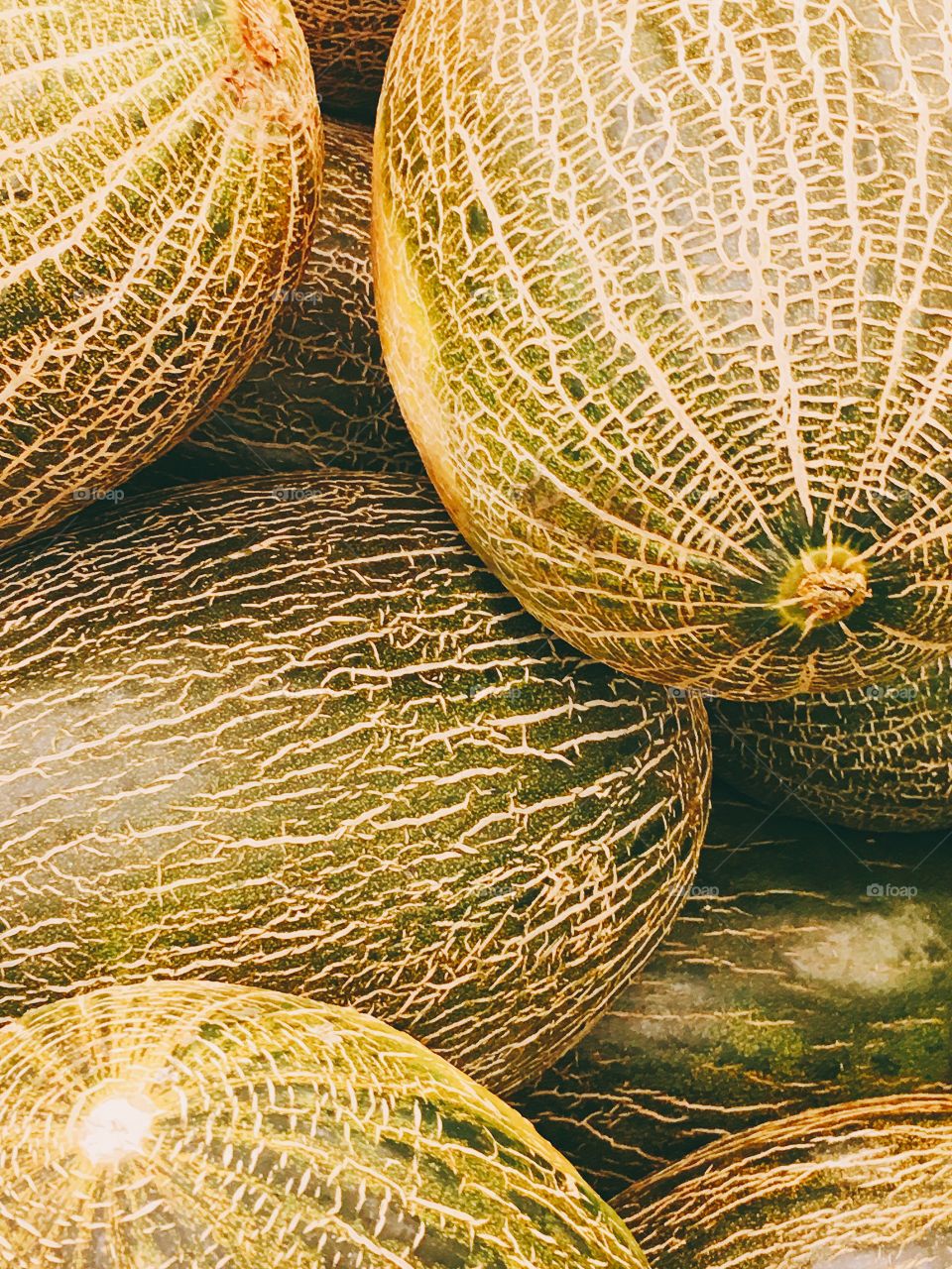 Fresh melons in the market