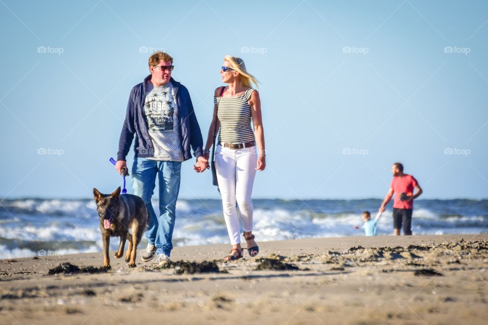 Walking with the dog on the beach