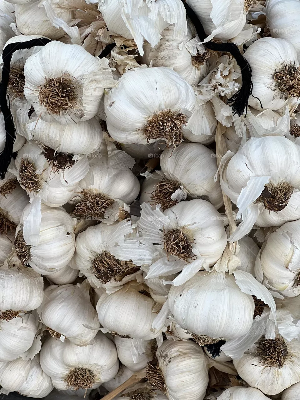 Garlic on a market texture