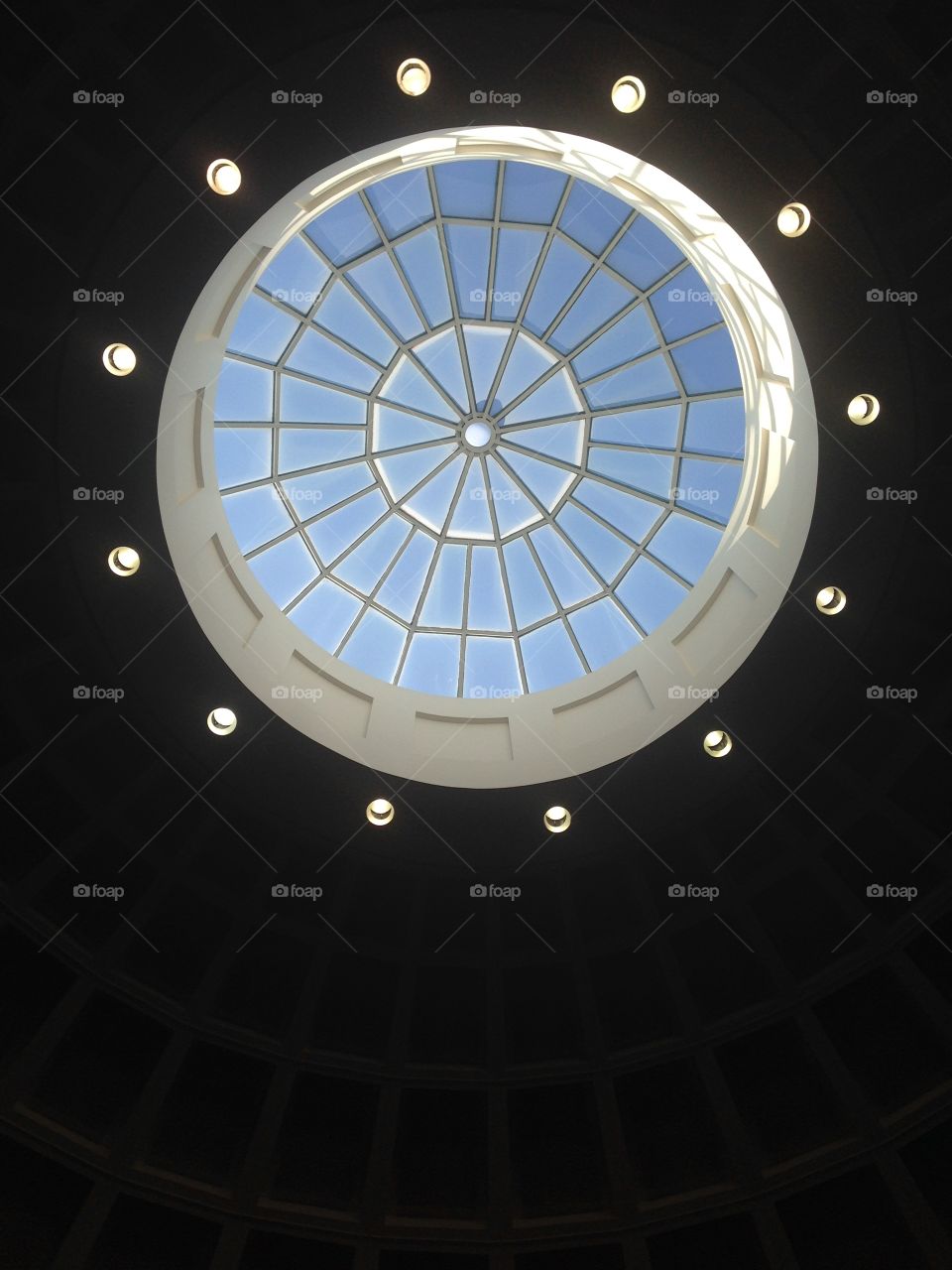 glass dome 
