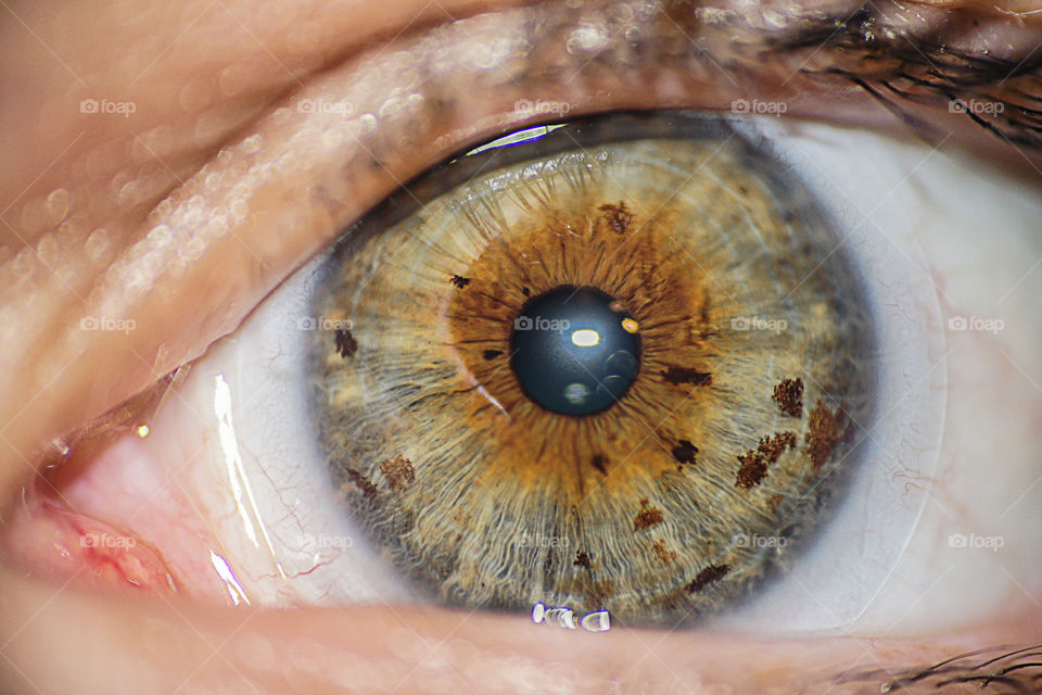Close-of a human grey eye