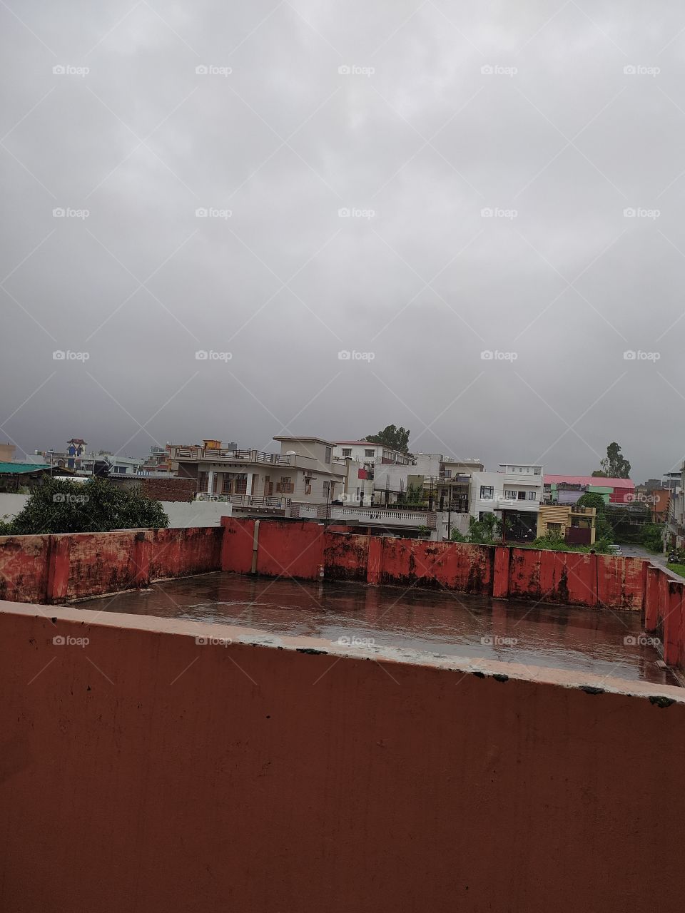 Monsoon rains rejuvenating naure