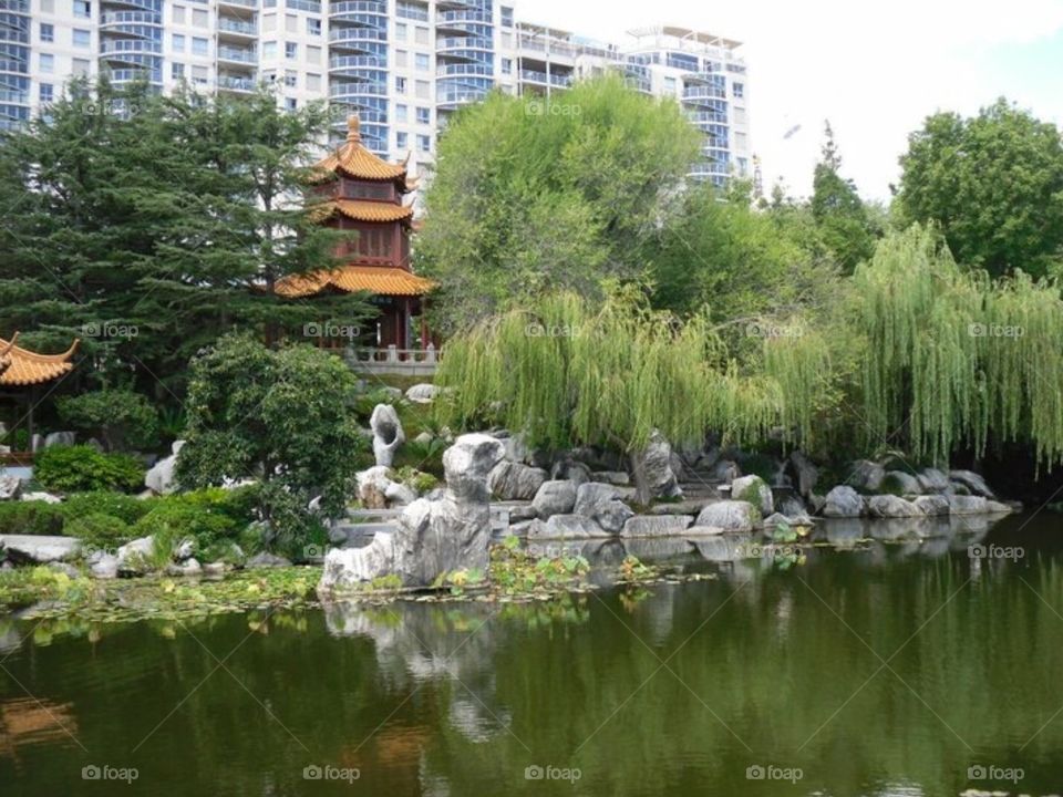 Chinese rock garden. Sydney Australia 