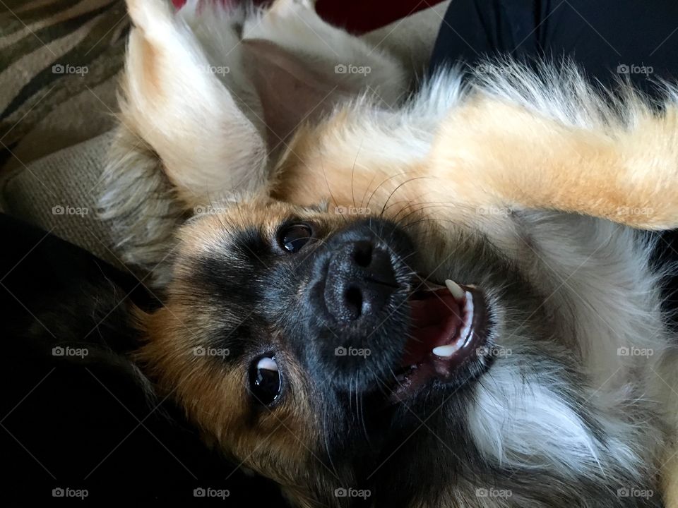 Smile and the world smiles with you!