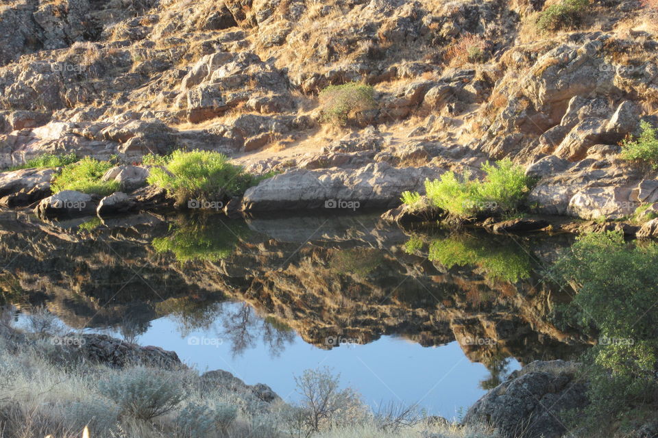 River at Knights Ferry