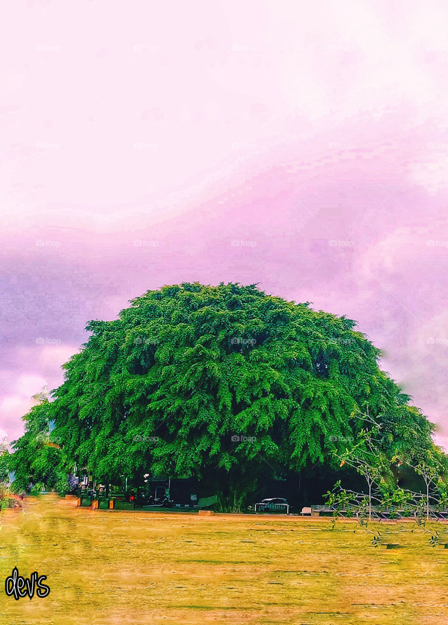 Something big must be able to provide many benefits to the surroundings