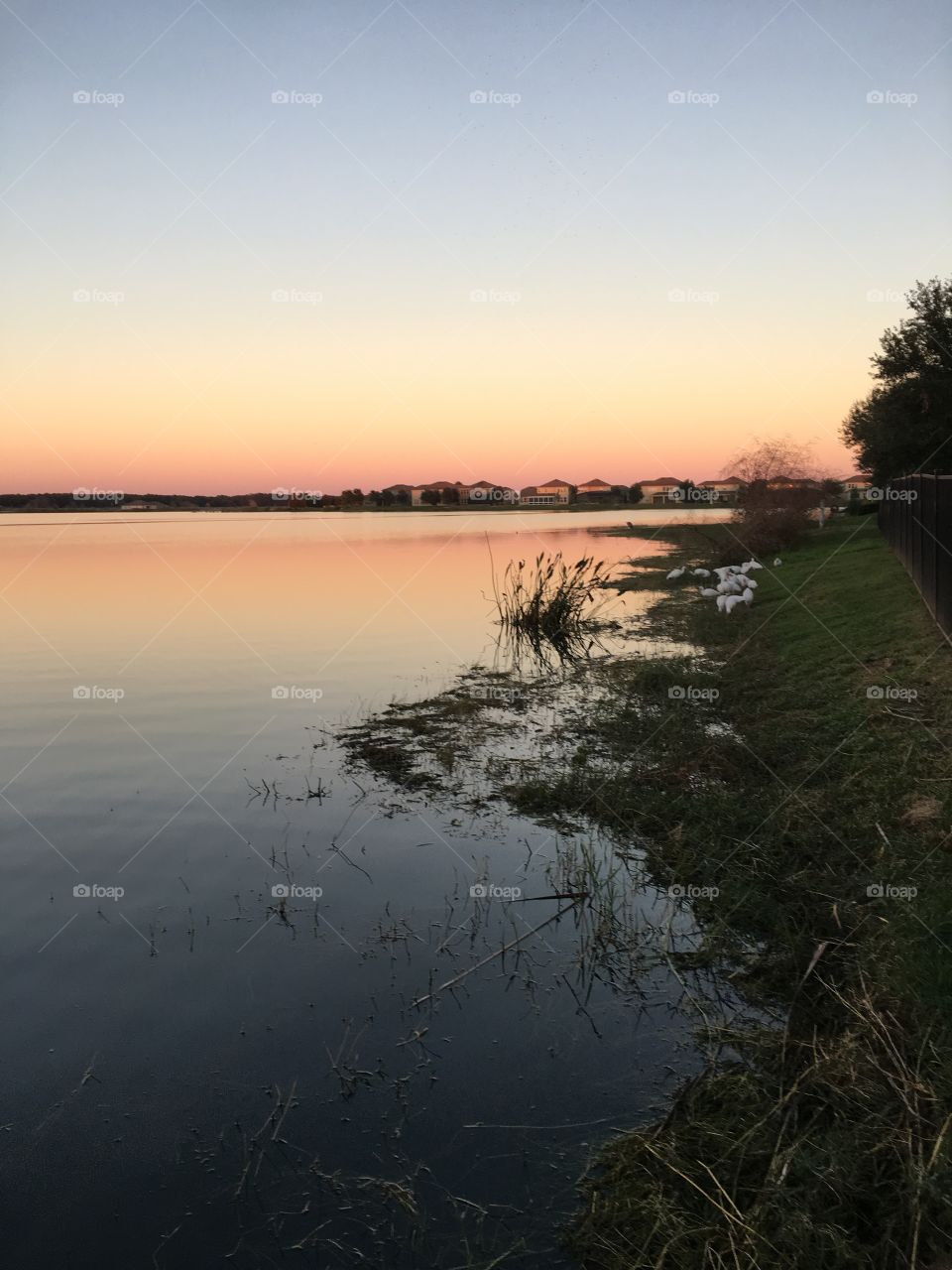 It was a beautiful site to get so close as these birds ate