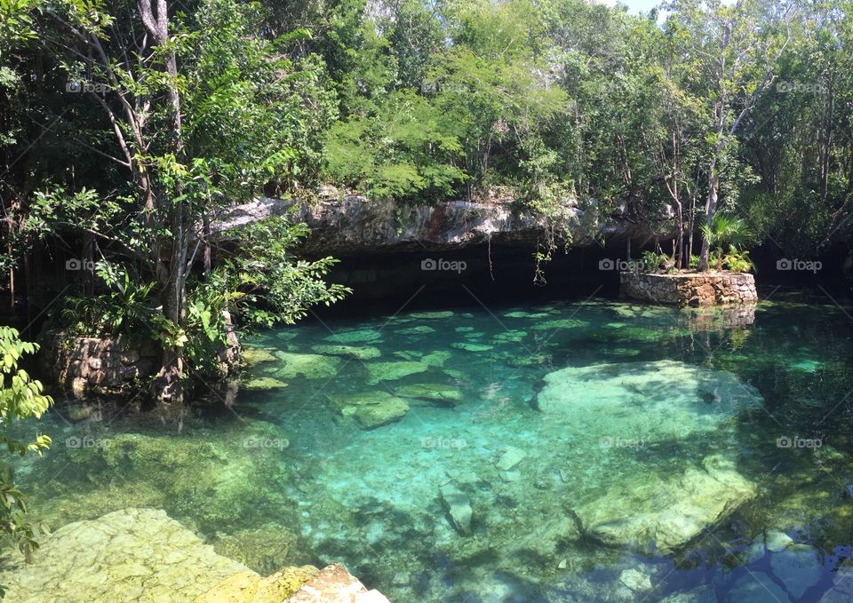 Beautiful clear Cenote 