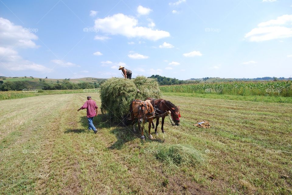 Rural life in Transylvania during the summer season