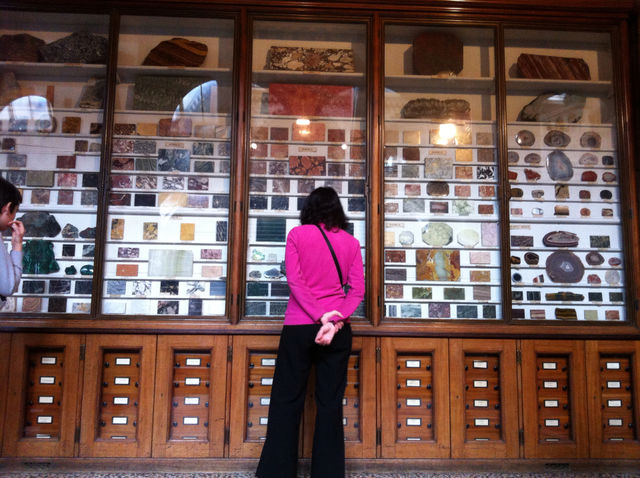 glass display nhm