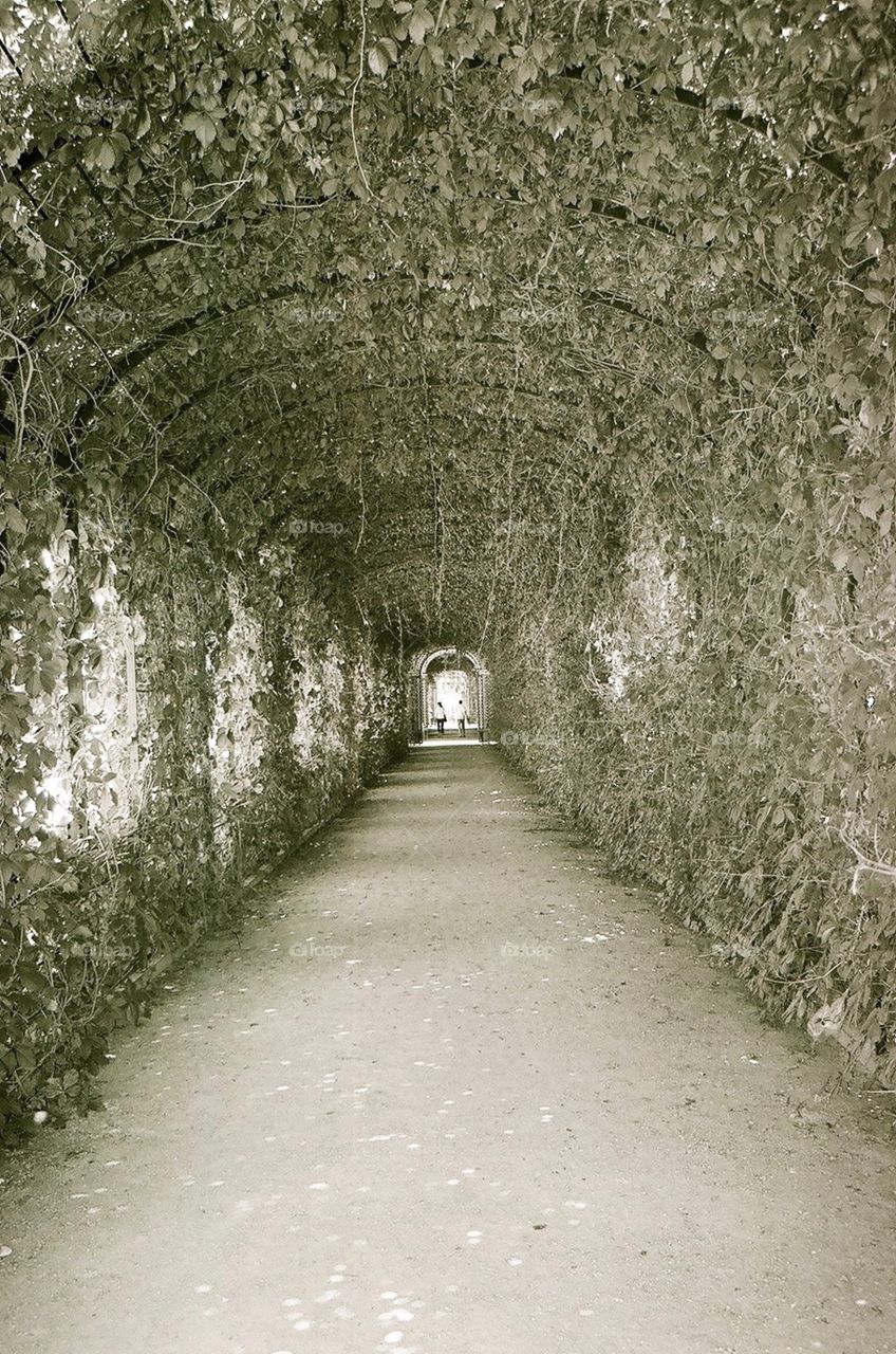 Arbor Tunnel, Vienna, Austria