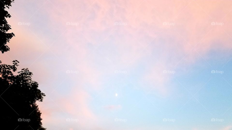 pinky moon