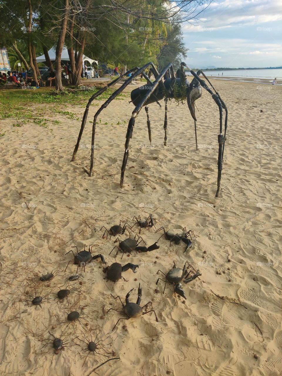 Giant spider on a beach