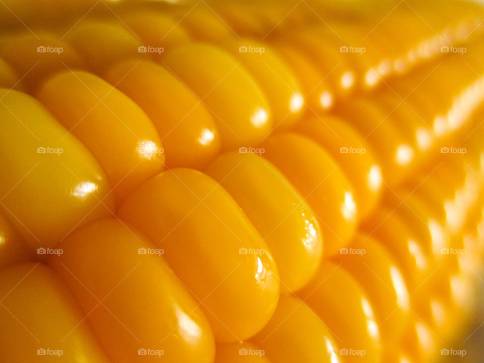 corn. corn in clos-up shot
