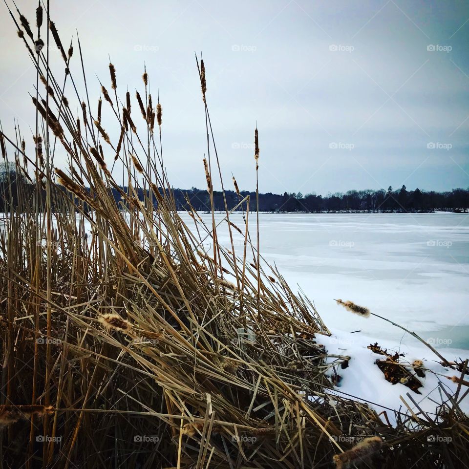 Wakefield Lake, Massachusetts 