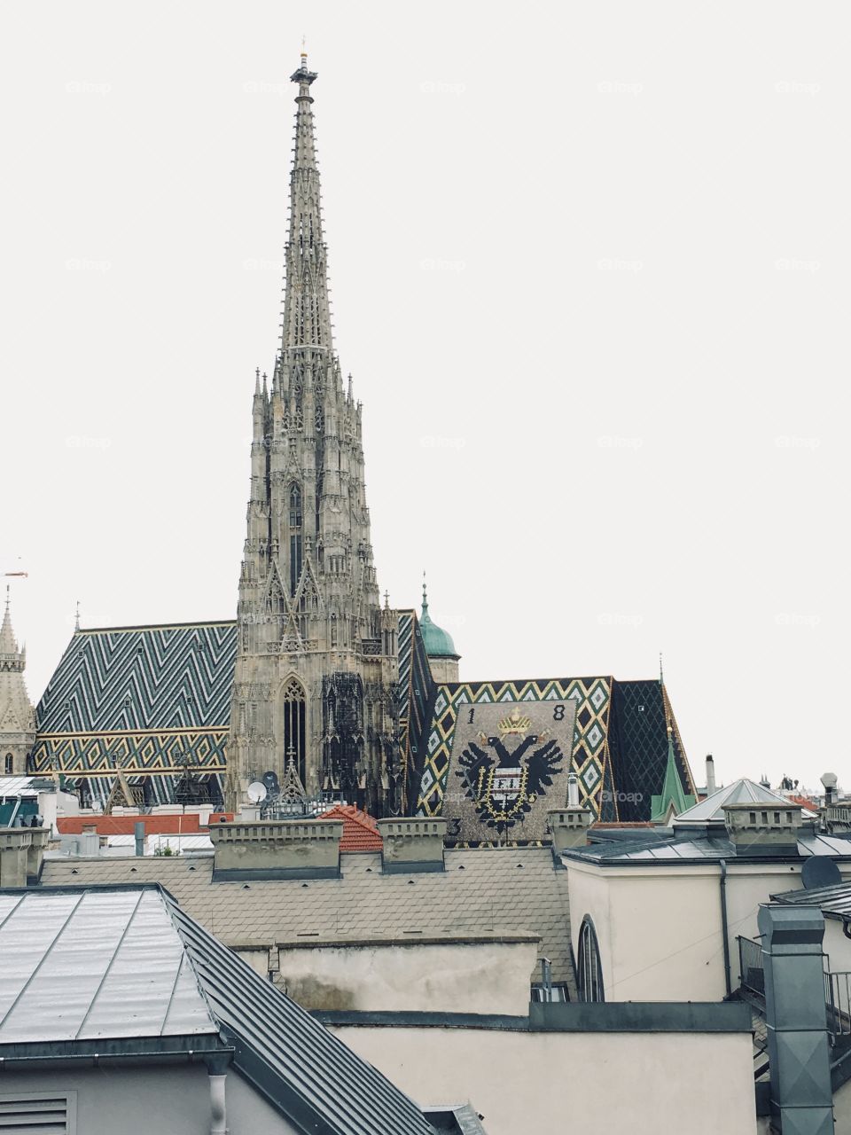 Roofs of Vienna 