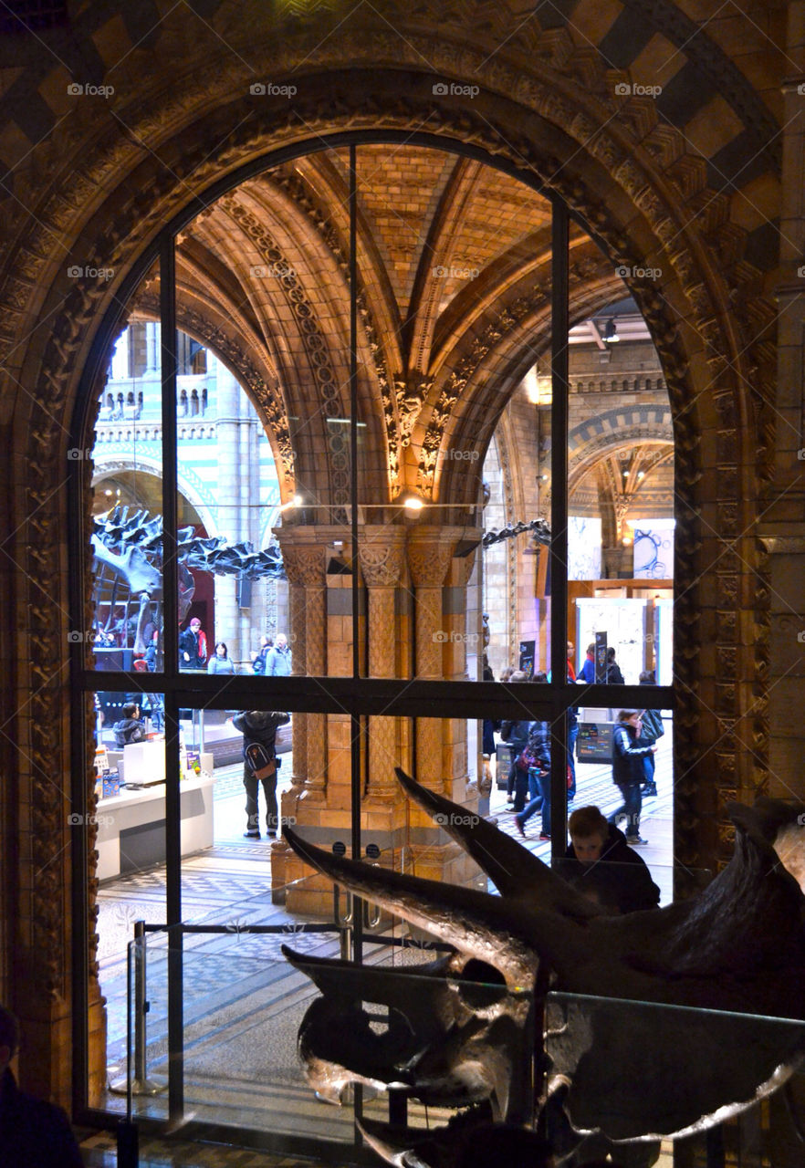 The national history museum London