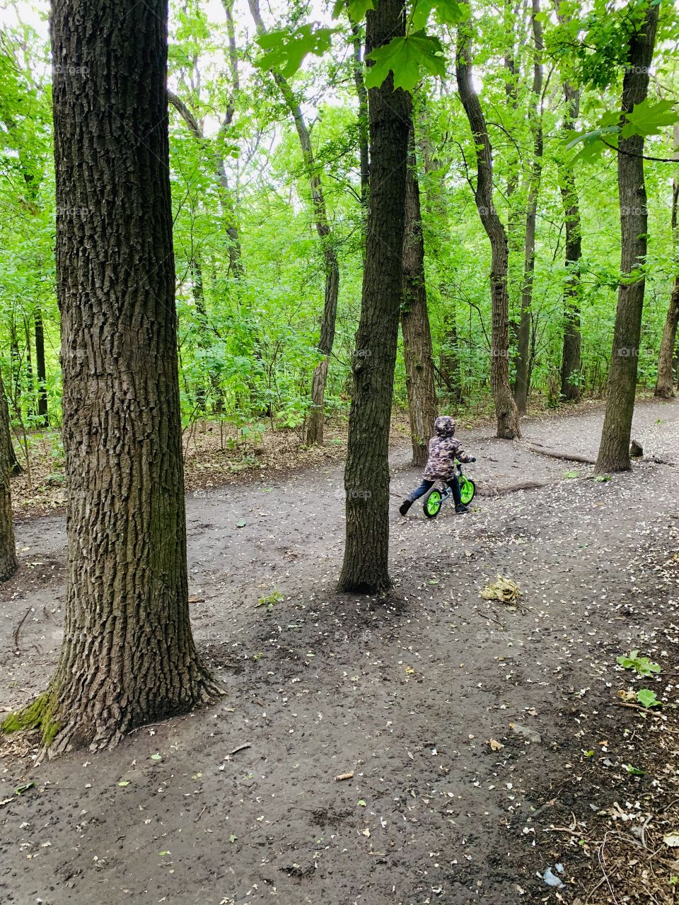 Baby boy drive balance bike in green forest 