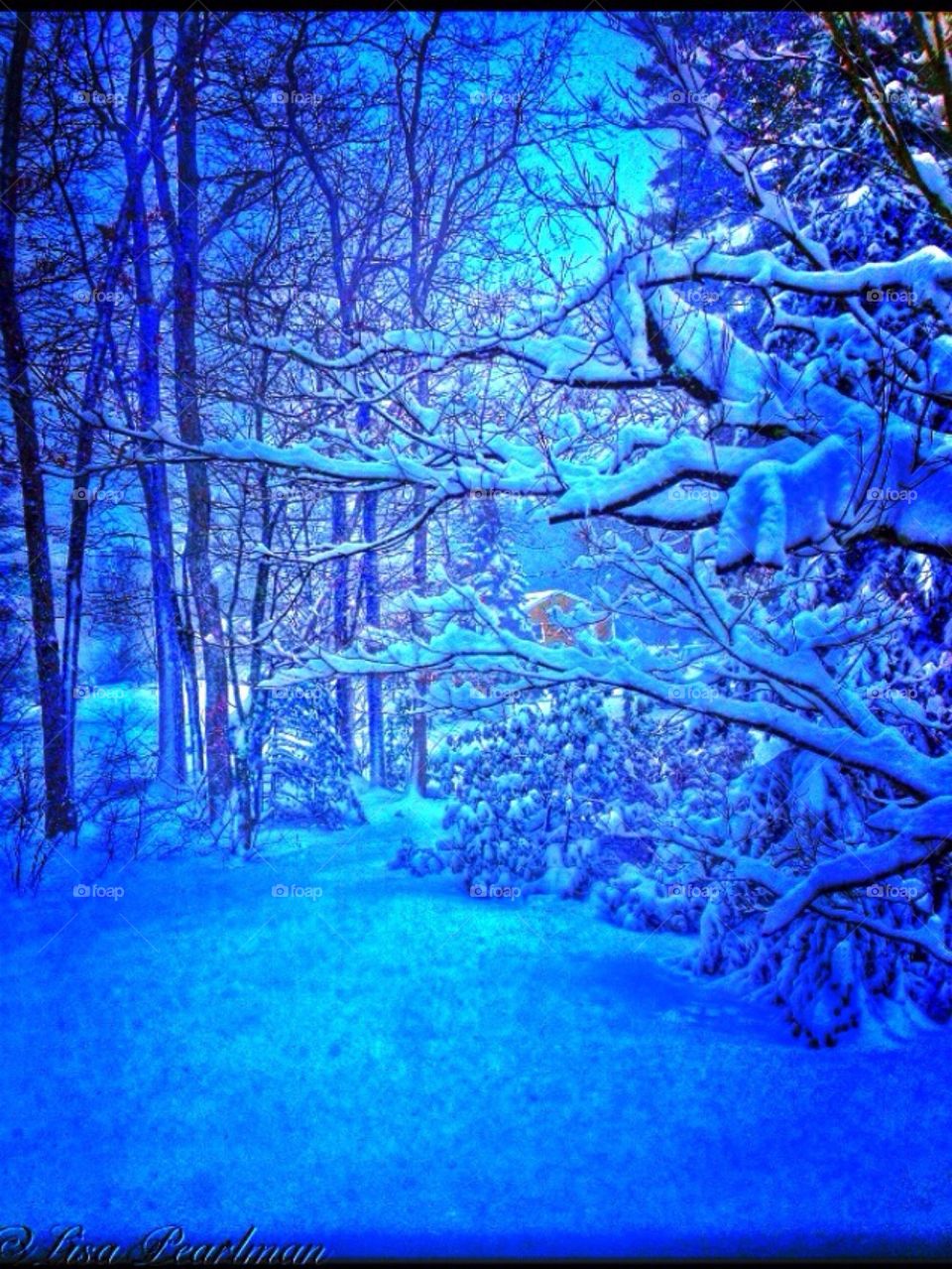 Winter Wonderland in Blue