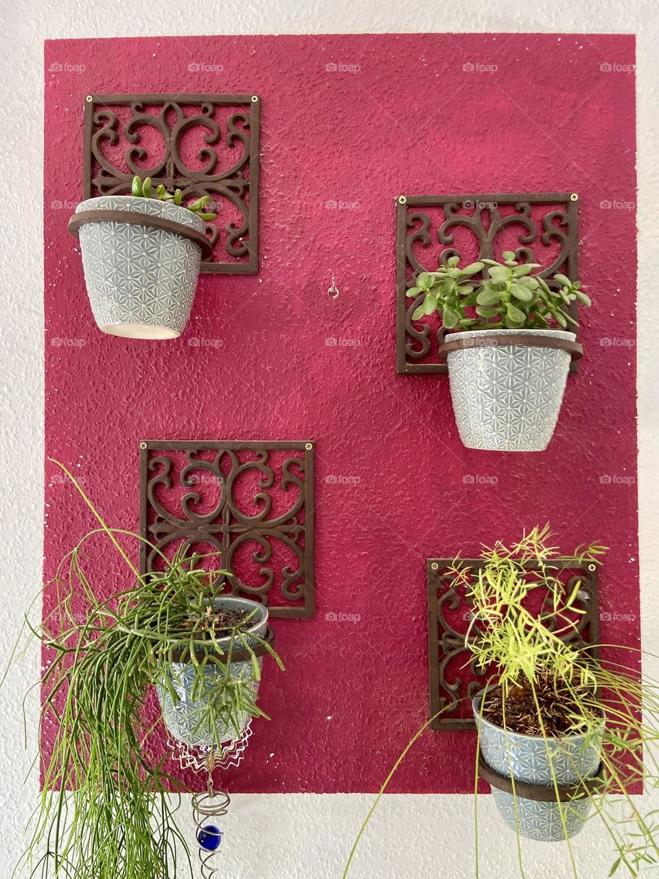 Plant pits hung on red wall