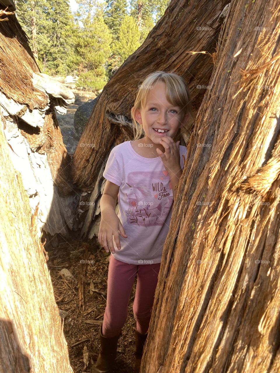 Cutest little girl hiding in pine trees on a hike in Lake Tahoe! 