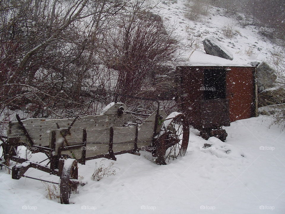 pioneer wagon at winter