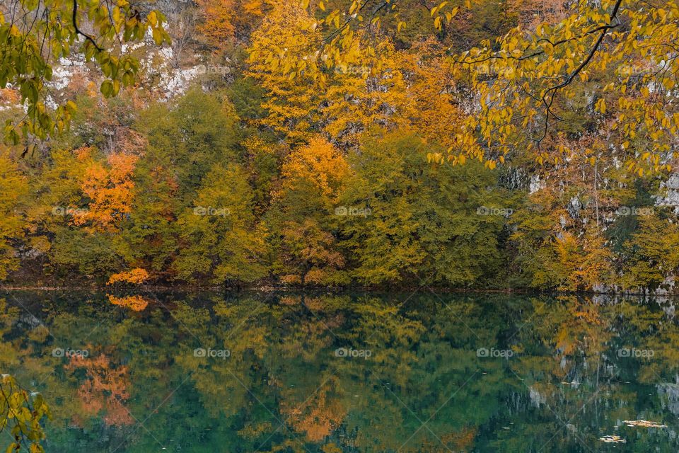 Beautiful autumn scenery with reflection of trees in lake
