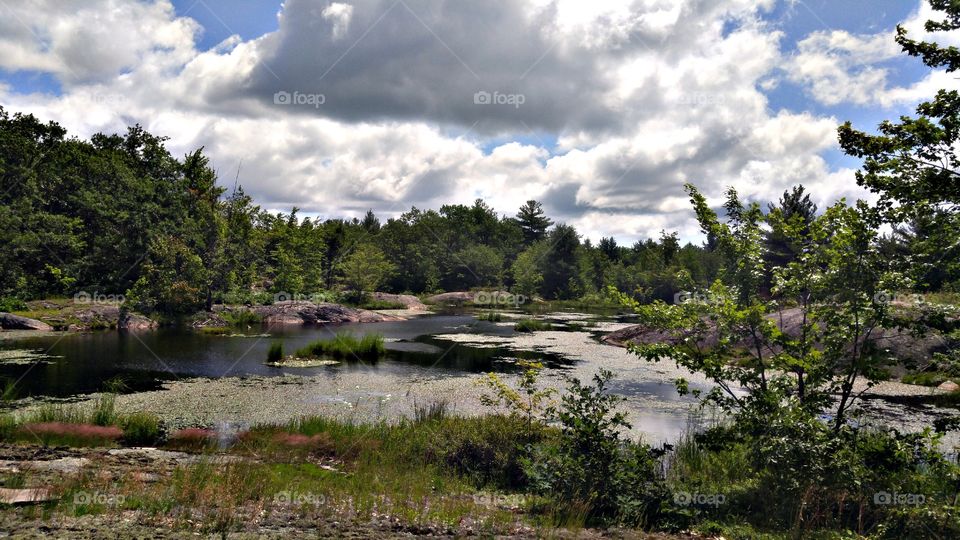 I Dont Think We Will Make It Across The Swamp