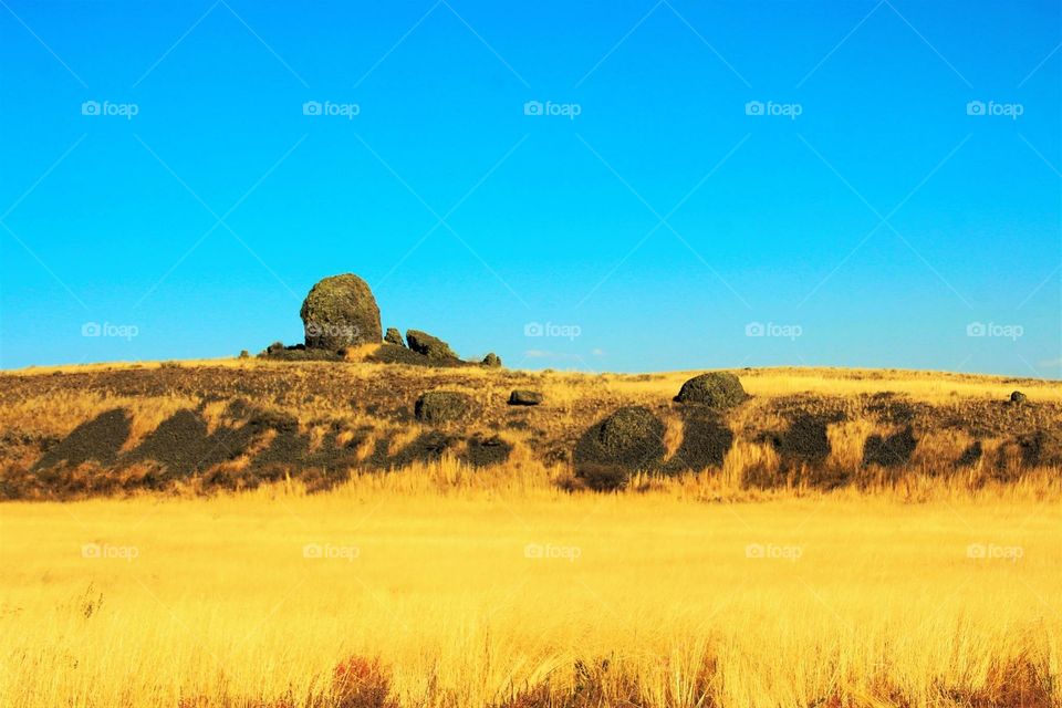 Rocky Fields