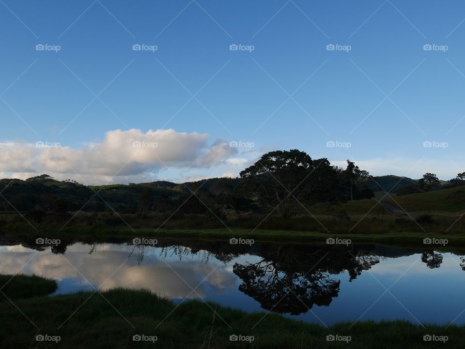 Mirror trees. Sunrise/trees reflection in the water