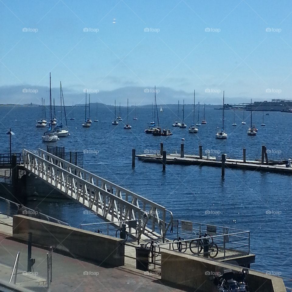 harbor in spring. Our view at lunch yesterday