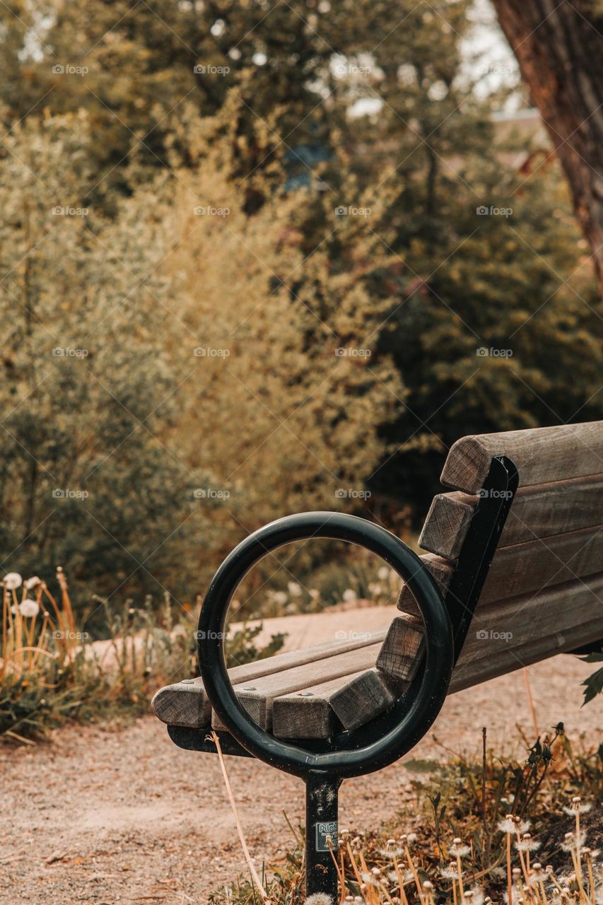 Perfectly located bench facing off to the ditch.